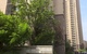 Tiny_deaf3d7b8607be8596f2dffd7f6f90b7
