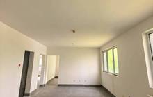 Small_2eee4abeb354cad68866812078322ae8